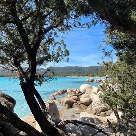 Bellavistaloc' * Porto-Vecchio (Corsica)