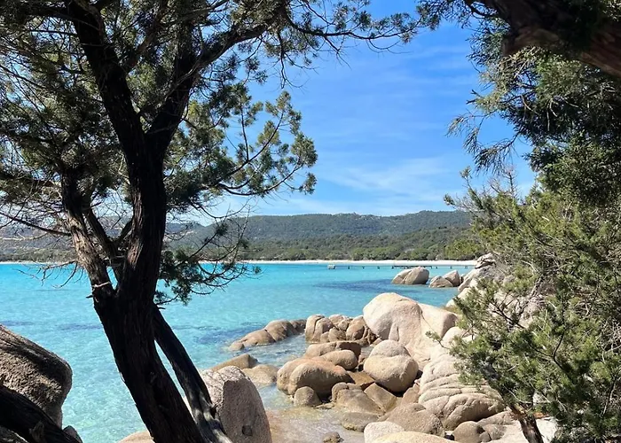 Bellavistaloc' * Porto Vecchio